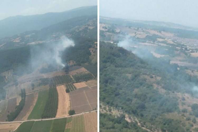 Bursa'da üç ilçede 4 farklı noktada yangın!