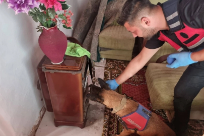 Bilecik Pazaryeri'nde uyuşturucu operasyonu