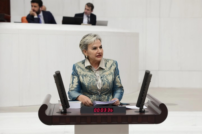 Milletvekili Özdemir öğrencilerin aç okula gitmesini TBMM'ye taşıdı