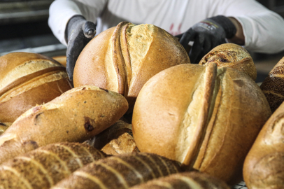 HALK EKMEK 5 YENİ EKŞİ MAYALI EKMEK DAHA ÜRETTİ