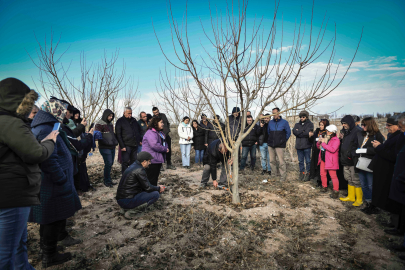 ABB’DEN MEYVE AĞAÇLARININ GELİŞİMİNE DESTEK: