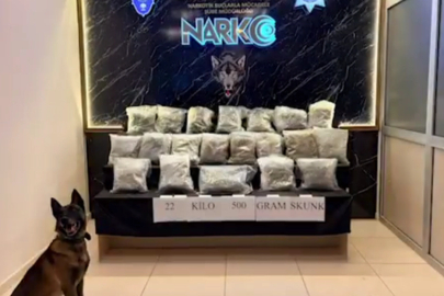 Narko Edirne, Hamzabeyli'de 22,5 kilo skunk ele geçirdi