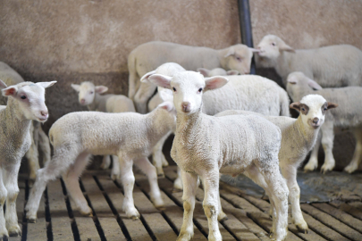 ABB KIRSALDAKİ ÜRETİCİYE CAN SUYU OLACAK