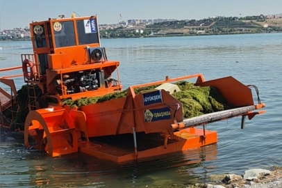 ABB, BAŞKENT GÖL VE GÖLETLERİNDE TEMİZLİK ÇALIŞMALARINI SÜRDÜRÜYOR