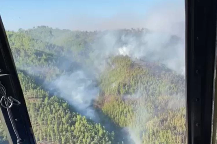 Antalya Alanya'da orman yangınına müdahale sürüyor
