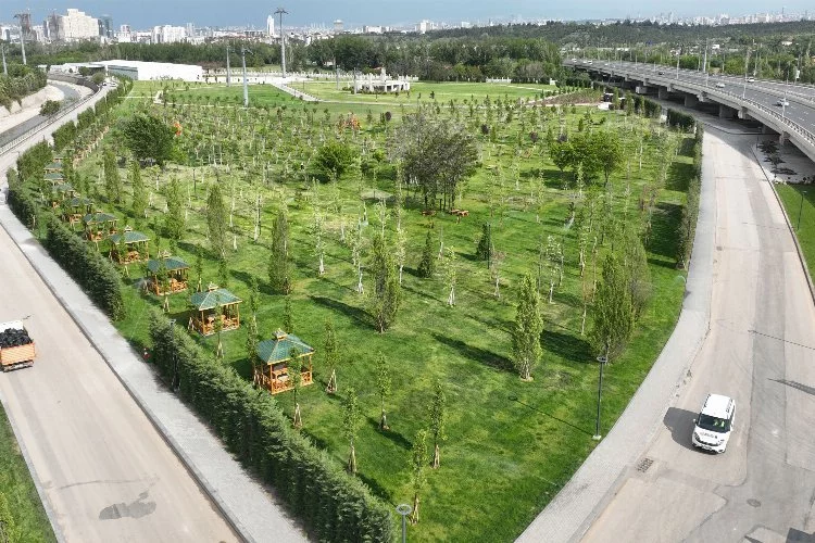 Atatürk Orman Çiftliği’ne yeni yeşil alan