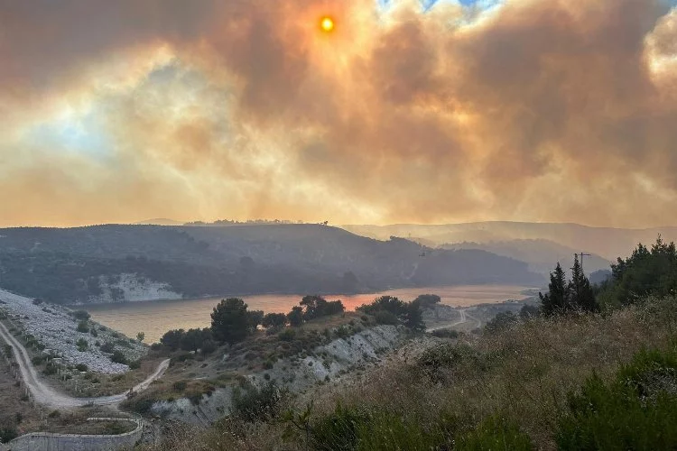Manisa Saruhanlı'daki orman yangını geniş alana yayıldı
