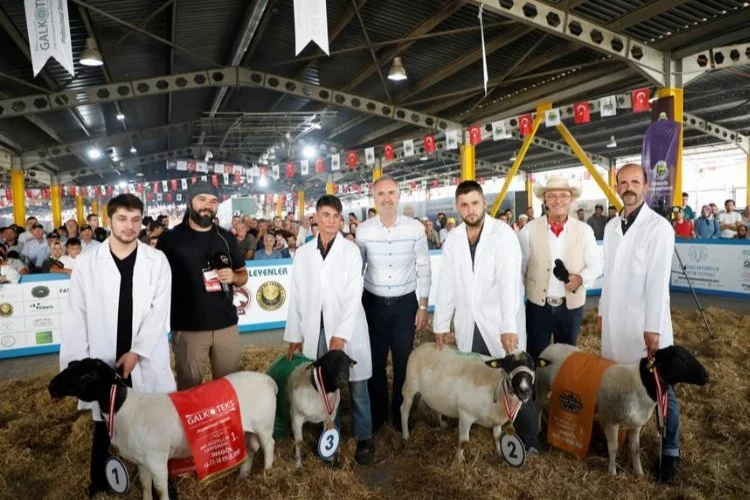 Türkiye’nin en kapsamlı küçükbaş hayvancılık festivali için geri sayım başladı
